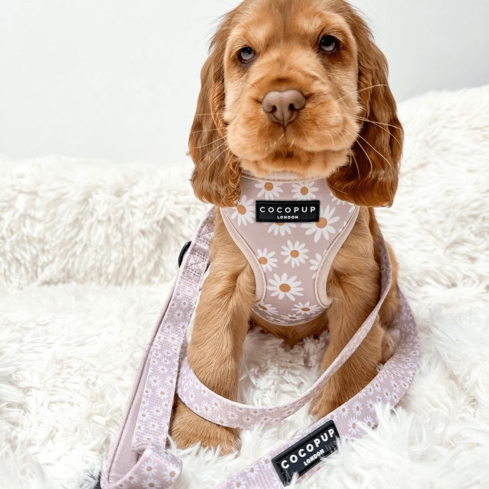 Cocopup London – Dog Lead – Daisy Chain